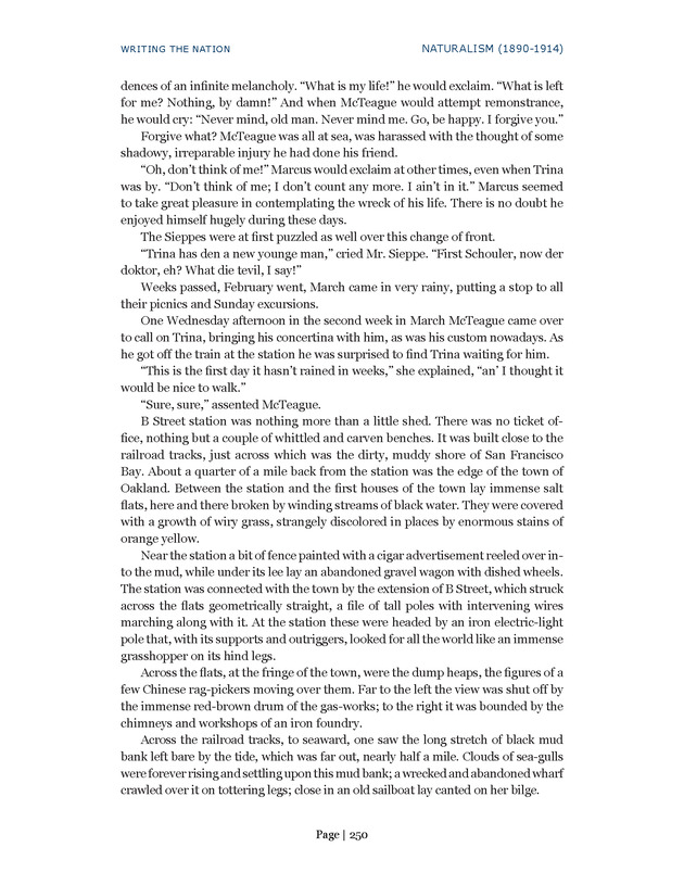 Writing the Nation - Page 250
